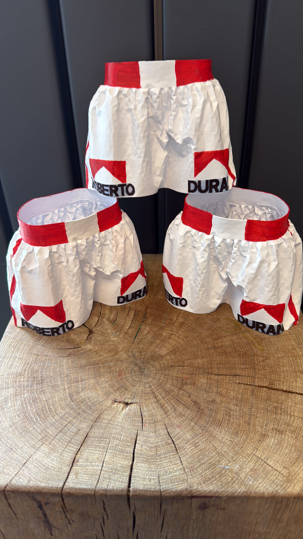 Famous Fabrics - Boxing Shorts