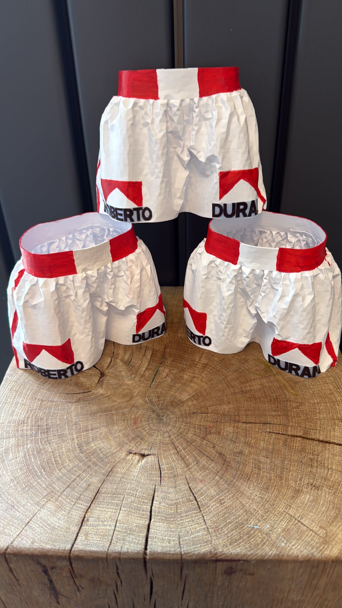 Famous Fabrics - Boxing Shorts
